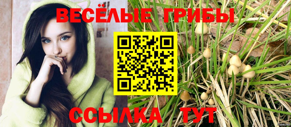 Псилоцибиновые грибы Cubensis  Вход с VPN  Нижнекамск  Псилоцибиновые грибы ЛСД 