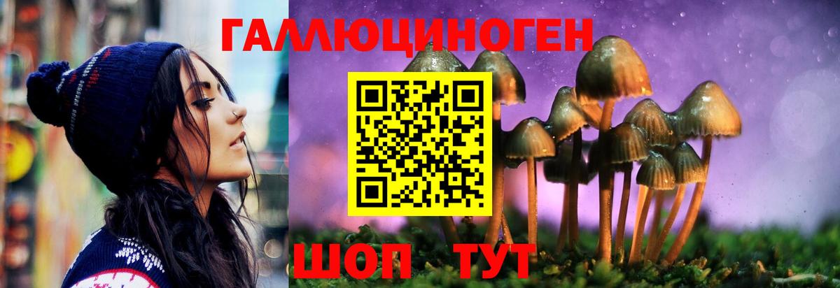 Псилоцибиновые грибы Psilocybe Нижнекамск